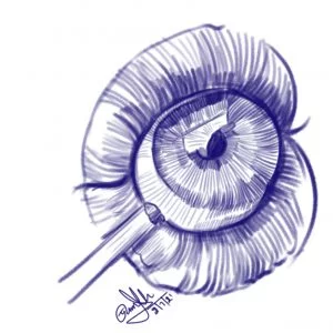 Drawing