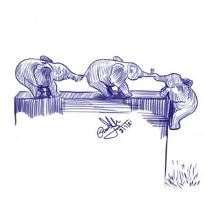 Drawing