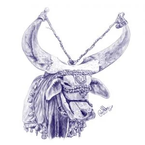 Drawing